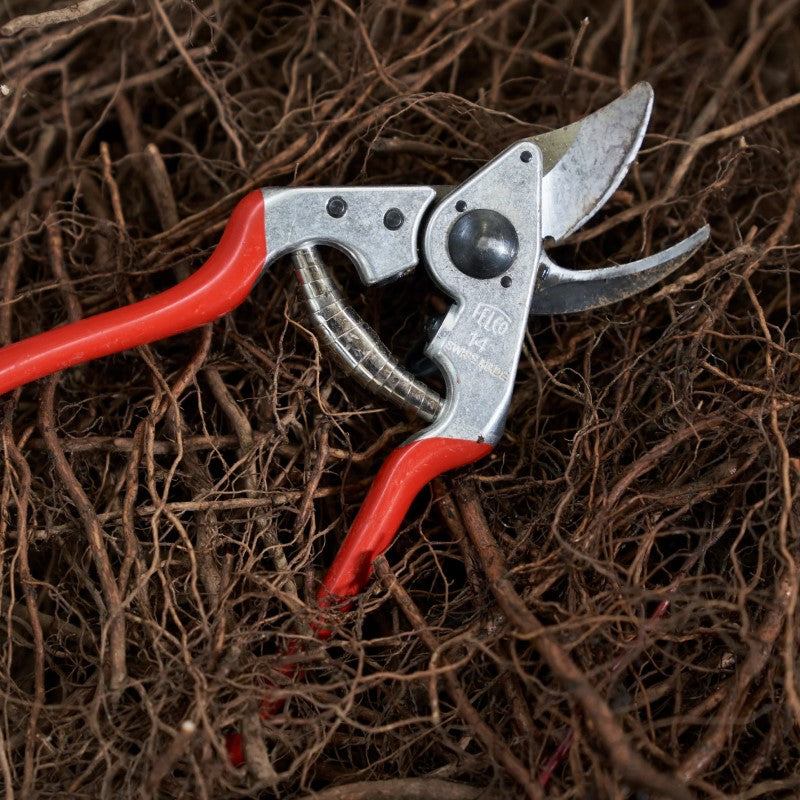 Felco 14 - Small Bypass Pruner