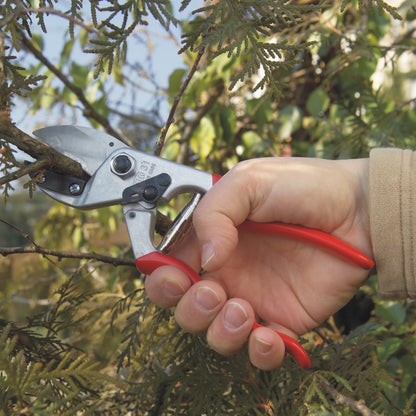 Felco 31 - Basic Anvil Pruner