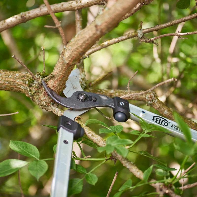 Felco 211‑60 - Curved Bypass Lopper - 60 cm