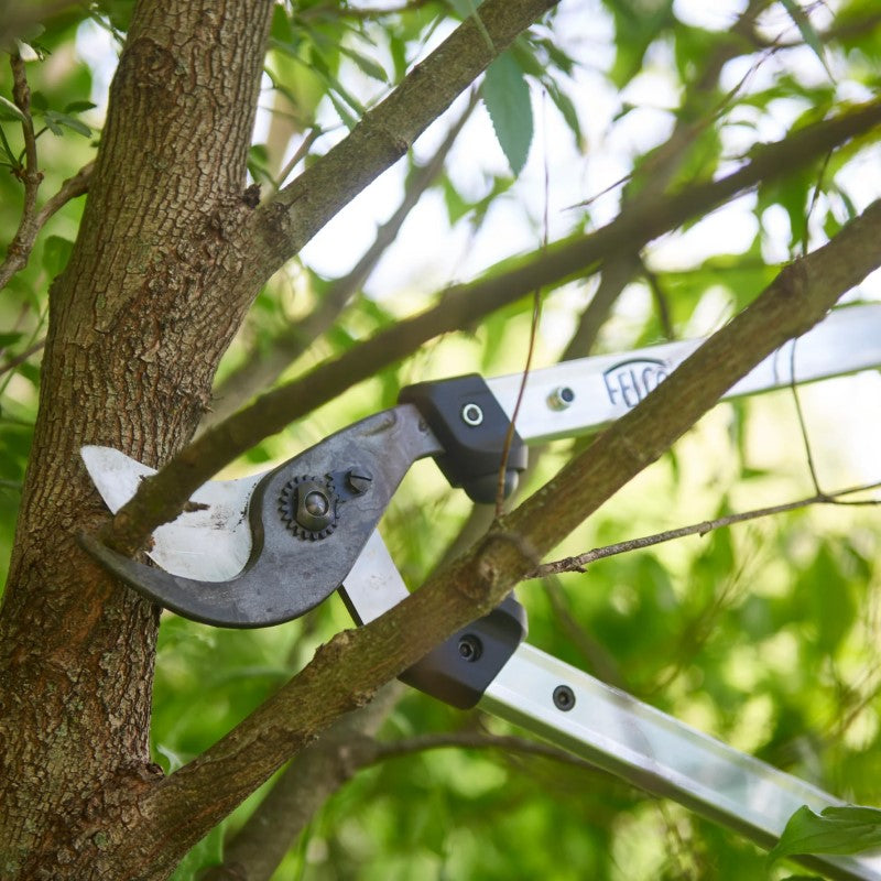 Felco 211‑60 - Curved Bypass Lopper - 60 cm