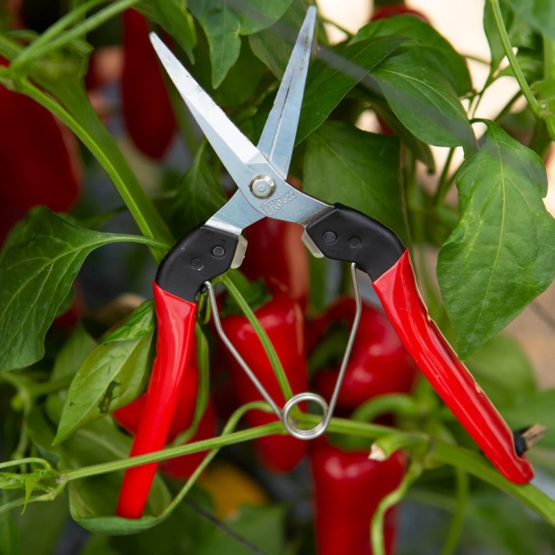 Felco 322 - Long Blades Pick & Trim Snips