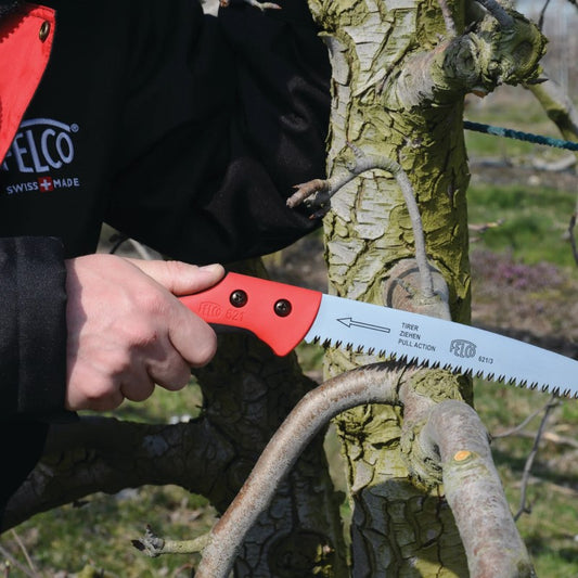 Felco 621 - Straight Pruning Saw with Sheath - Blade 24 cm
