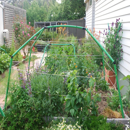 Giant Garden Frame