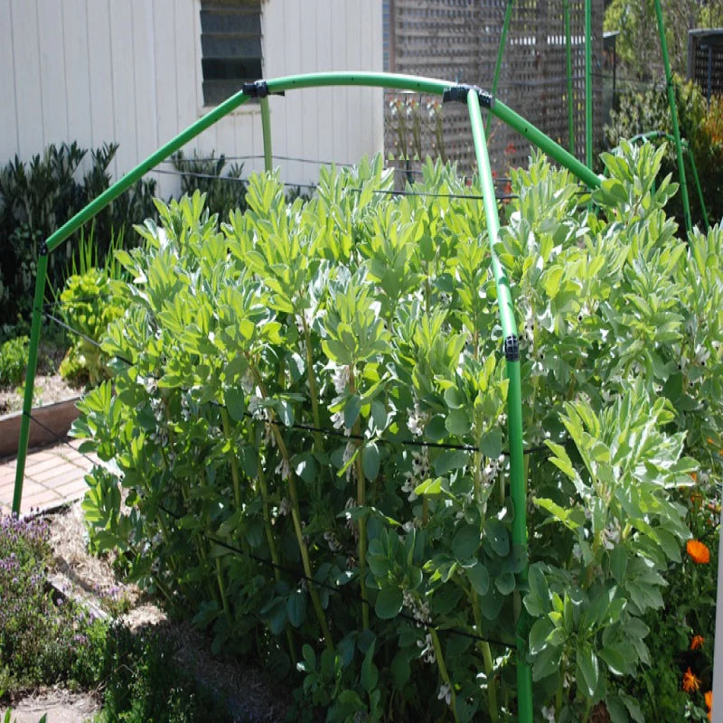 Giant Garden Frame