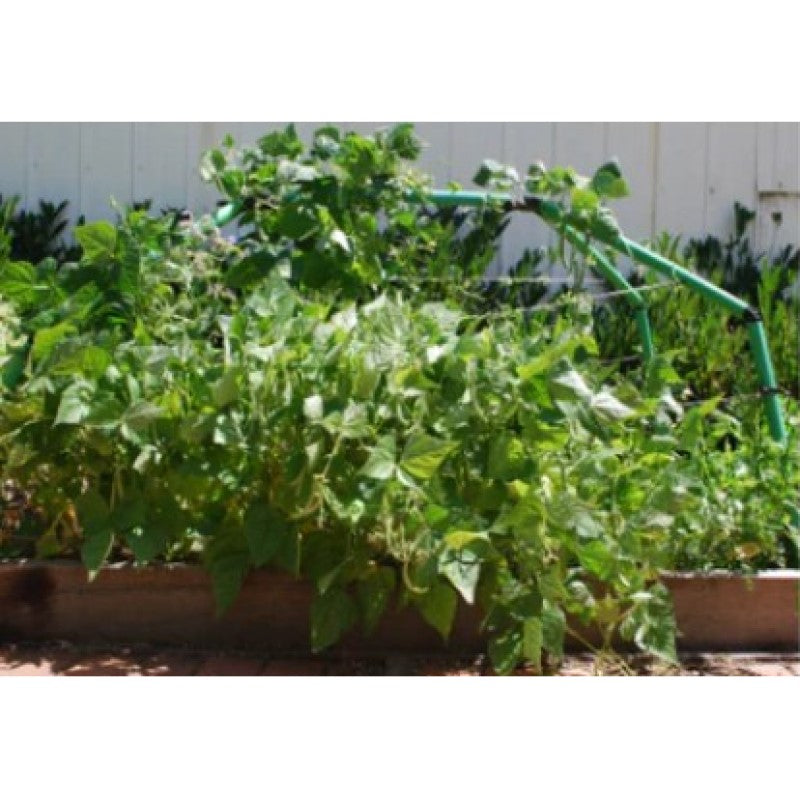 Standard Garden Frame