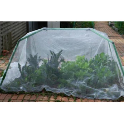 Standard Garden Frame