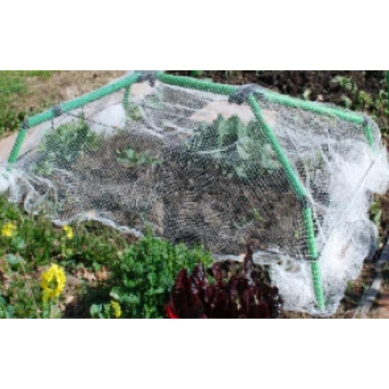 Starter Garden Frame