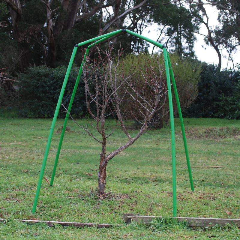 Tree Frame - 2m Tall