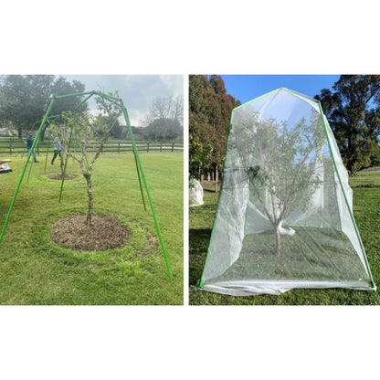 Tree Frame - 2m Tall