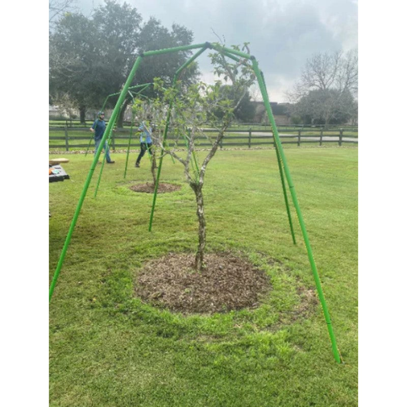Tree Frame - 2m Tall