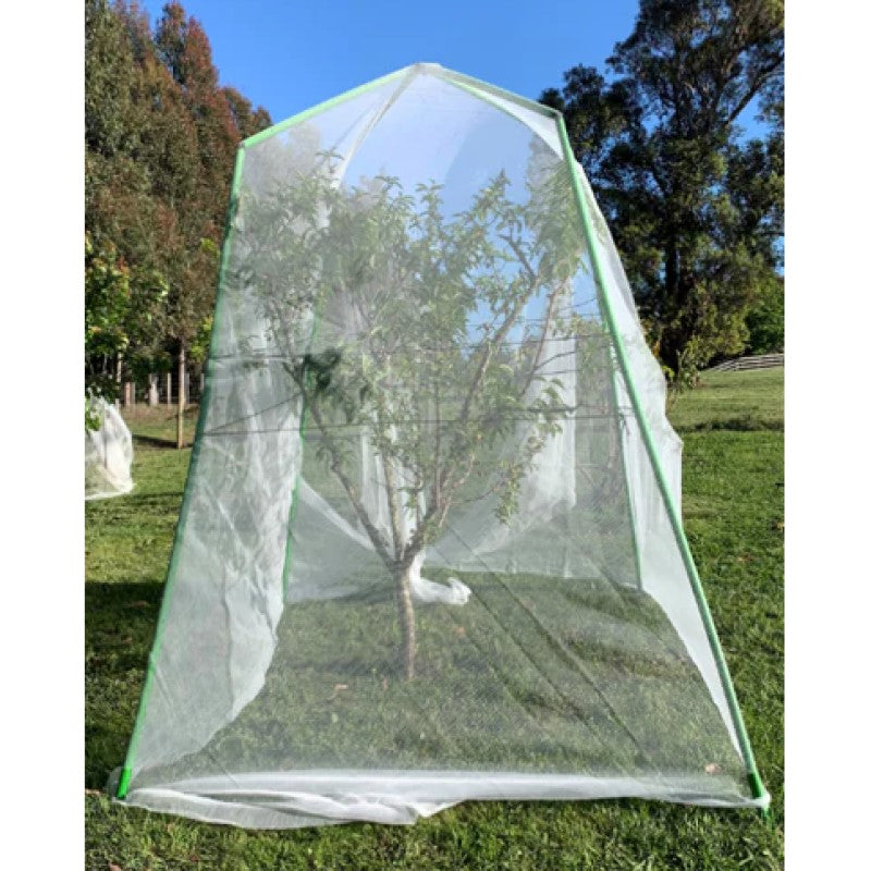 Tree Frame - 2m Tall