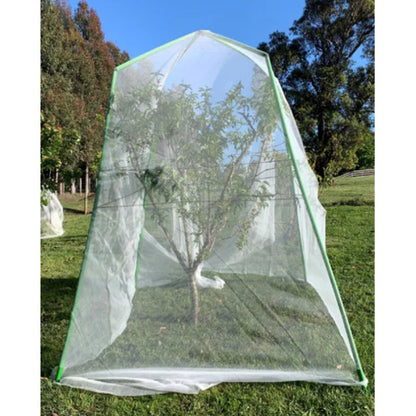 Tree Frame - 2m Tall