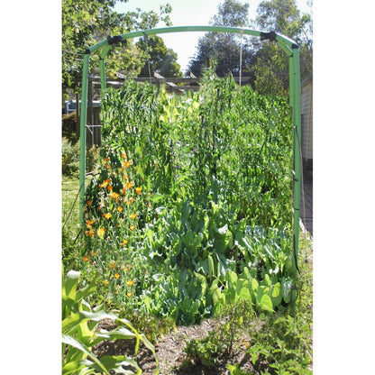 Tall Garden Frame