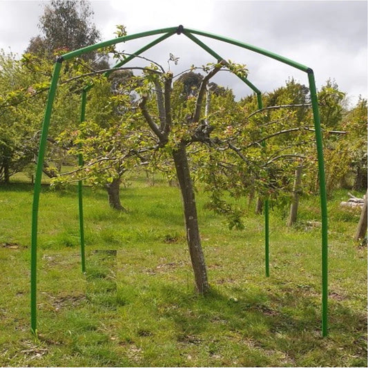 Tree Frame - 2.5m Tall