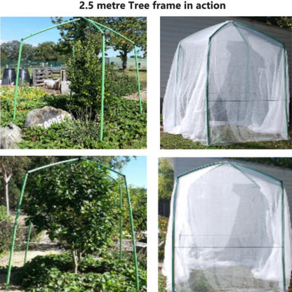 Tree Frame - 2.5m Tall