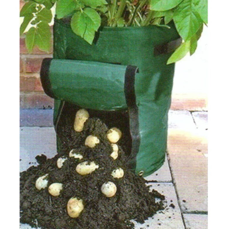 Potato Grow Bag