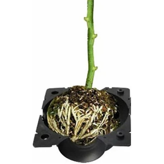 Air Layering Capsule