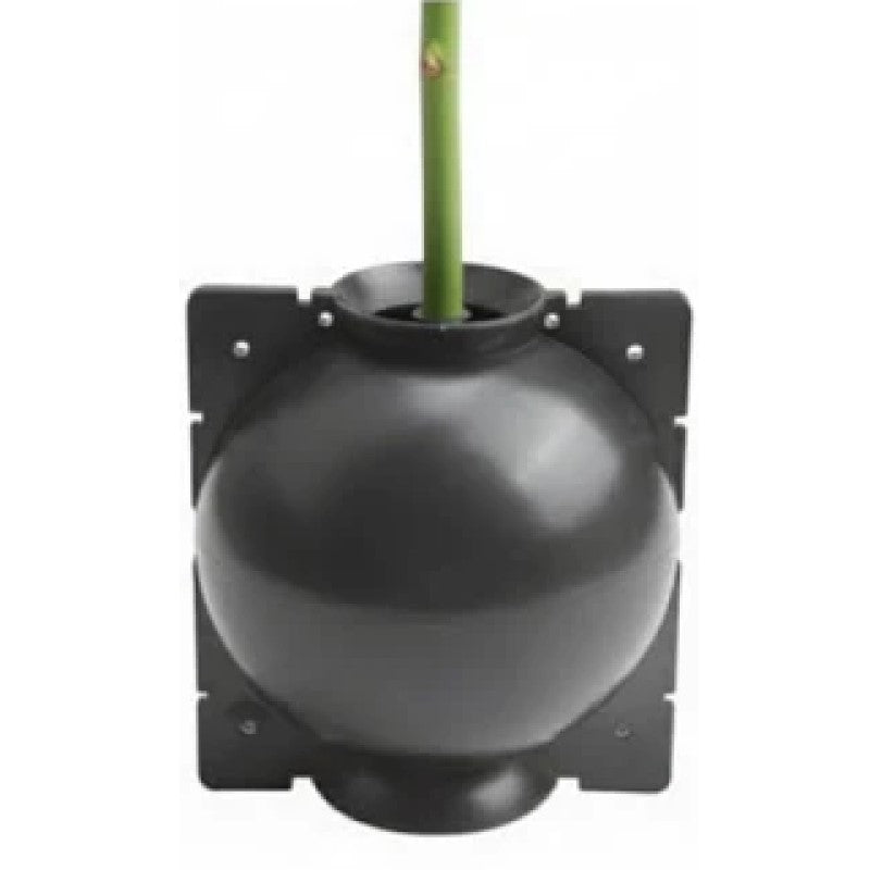 Air Layering Capsule