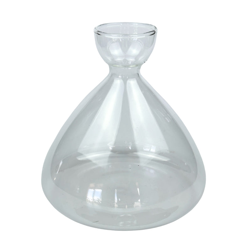 Avocado Seed Starter Vase - Clear