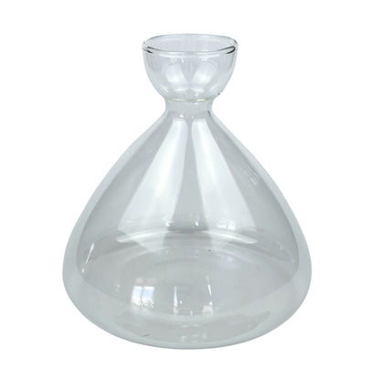Avocado Seed Starter Vase - Clear