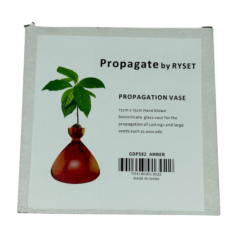 Avocado Seed Starter Vase - Amber
