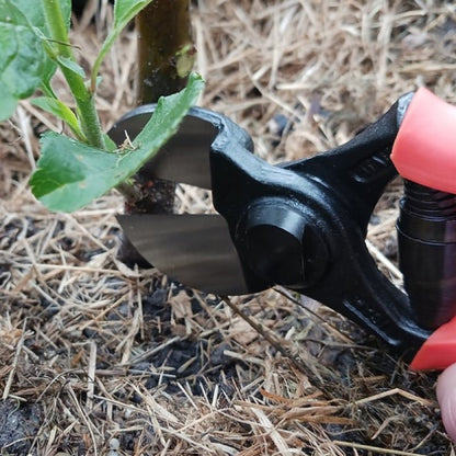Secateurs - 3/A - Double Blade Pruner