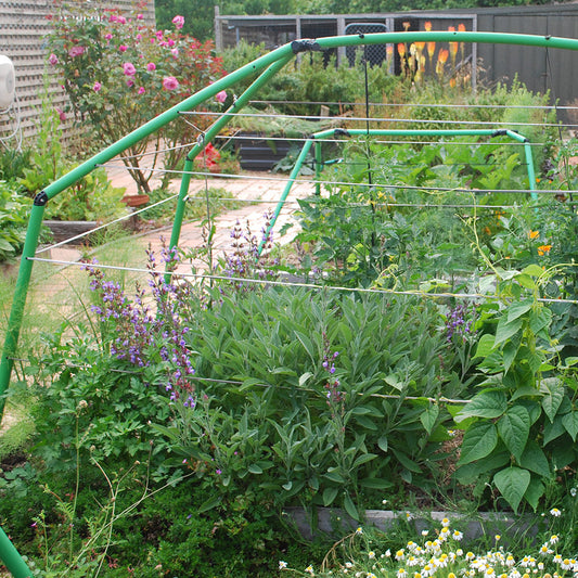 Giant Garden Frame