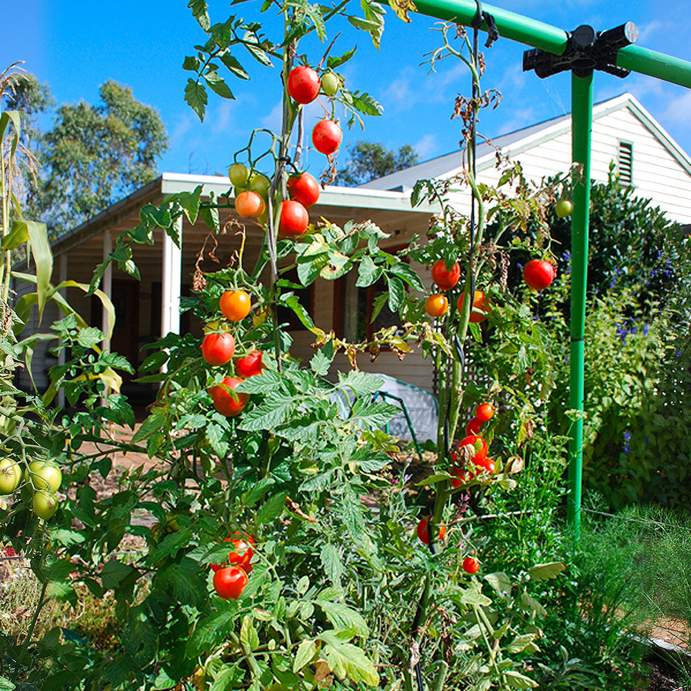 Giant Garden Frame