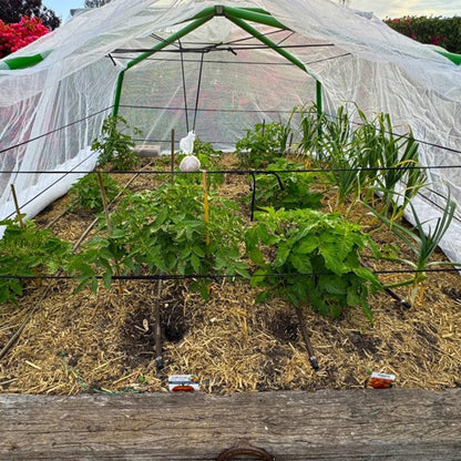 Mighty Garden Bed Frame