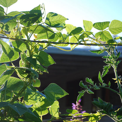 Mighty Garden Bed Frame