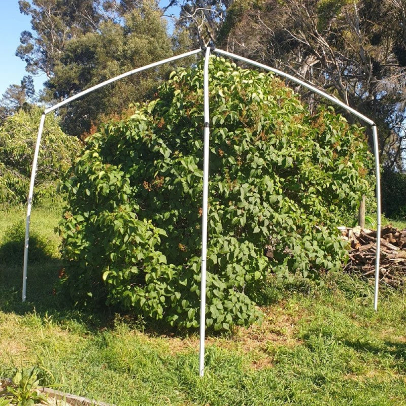 Tree Frame for Formed Insect Exclusion Net - 2.4m sq x 2.8m