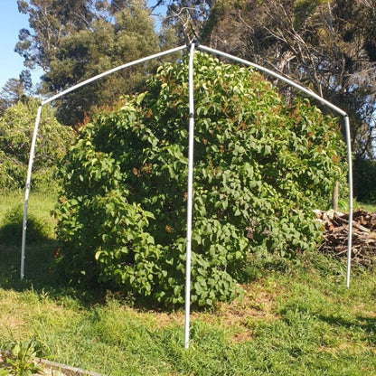 Tree Frame for Formed Insect Exclusion Net - 2.4m sq x 2.8m