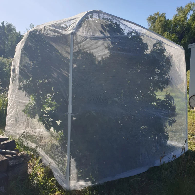 Tree Frame for Formed Insect Exclusion Net - 2.4m sq x 2.8m