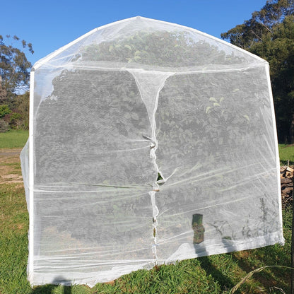 Tree Frame for Formed Insect Exclusion Net - 2.4m sq x 2.8m