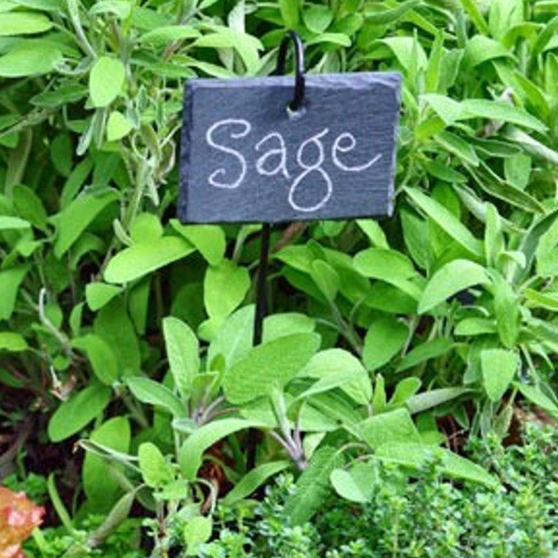 Slate Labels Plant Labels - Hanging Slate – Abundance Farm