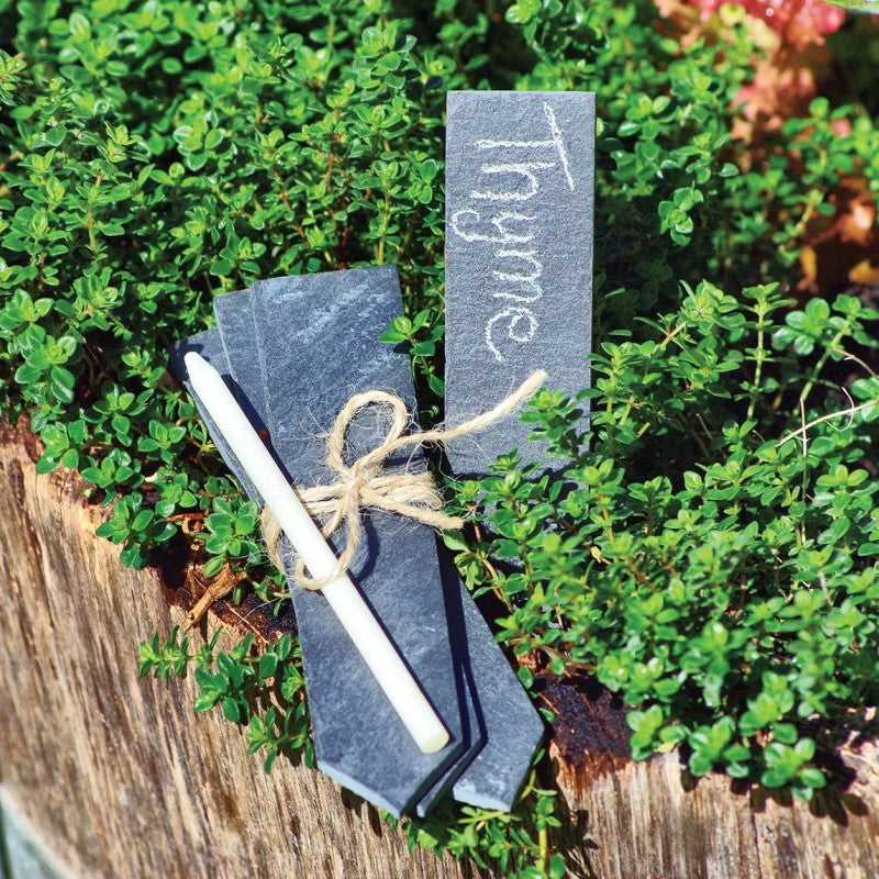 Plant Labels – Pointed Slate