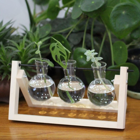 Propagation Station - Three Bulbs