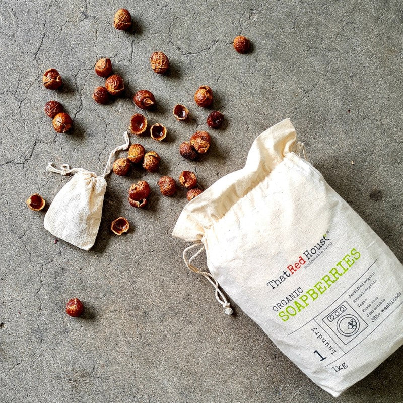 Organic Soapberries - 365+ Washloads - 1kg