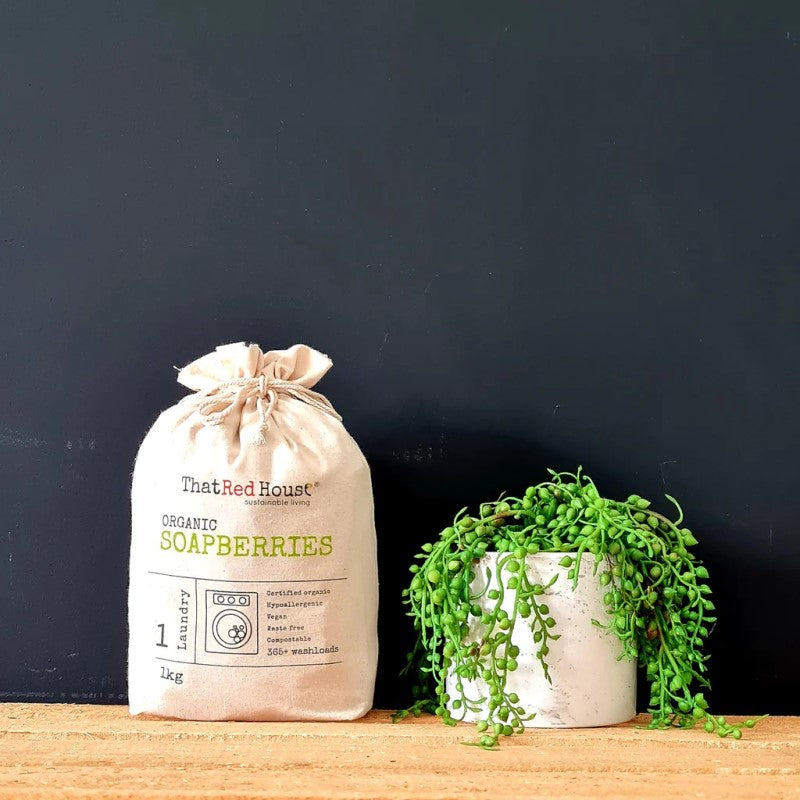 Organic Soapberries - 365+ Washloads - 1kg
