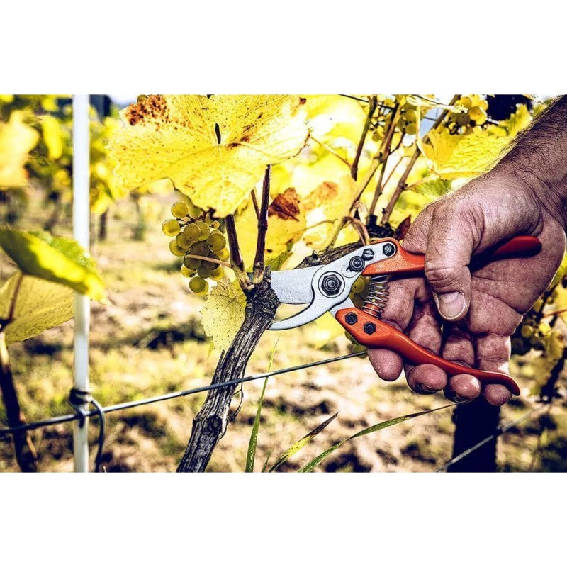 Secateurs - Precision Clean Cut Bypass Pruner - Large - 11.104