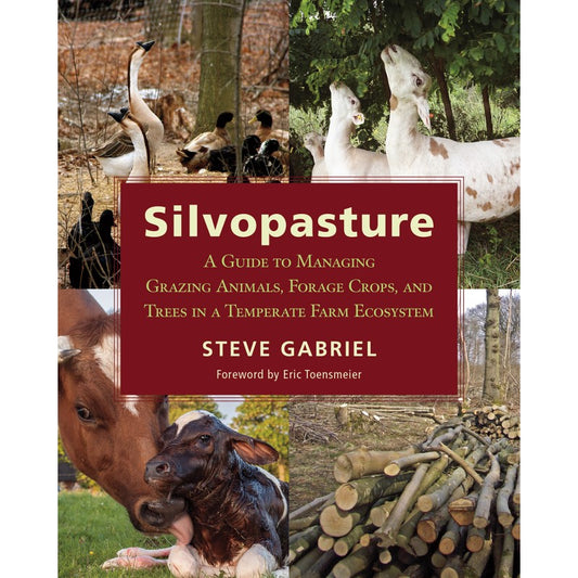 Silvopasture – Steve Gabriel