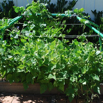 Standard Garden Frame