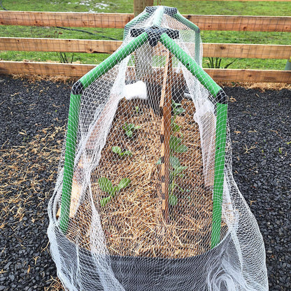 Starter Garden Frame