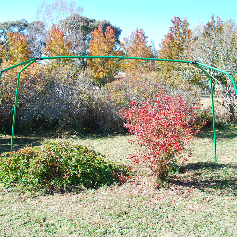 Tree or Berry Bush Frame