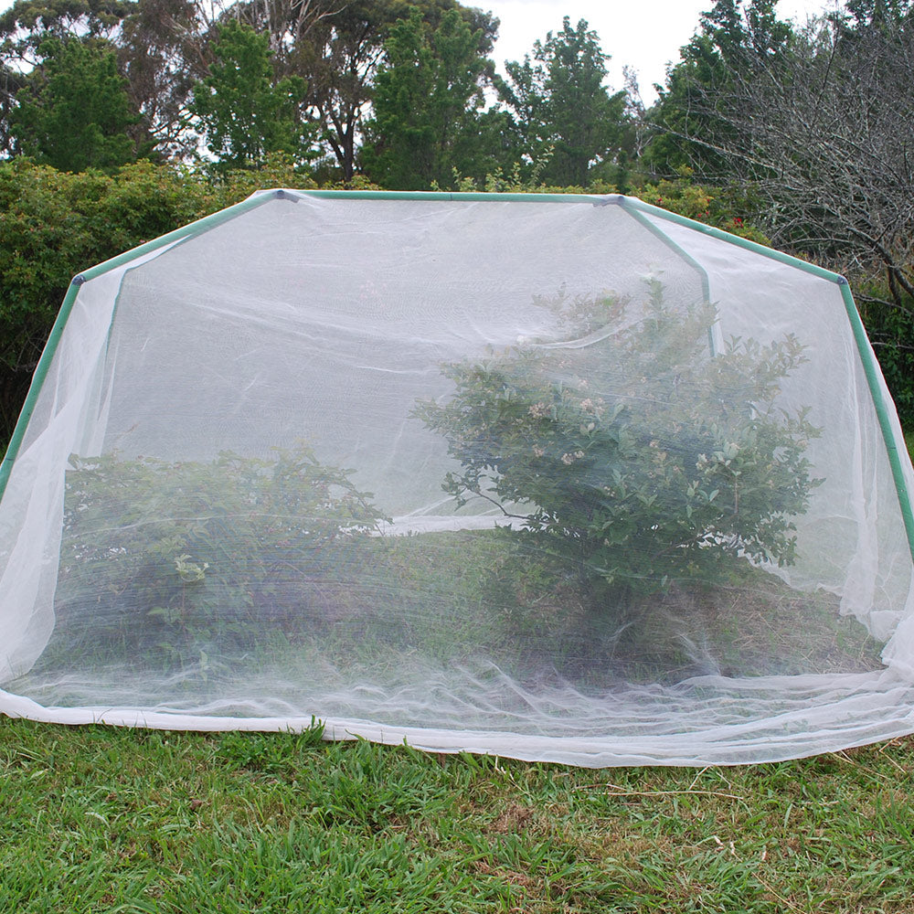 Tree or Berry Bush Frame