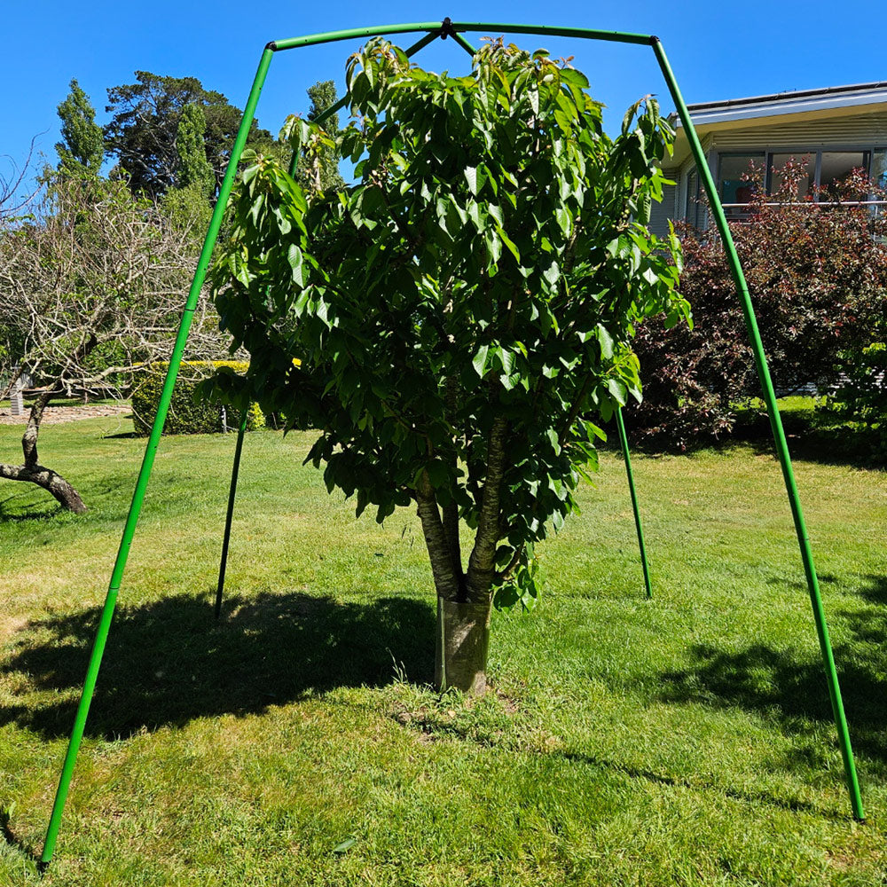Tree Frame - 2 m Tall