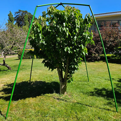 Tree Frame - 2 m Tall