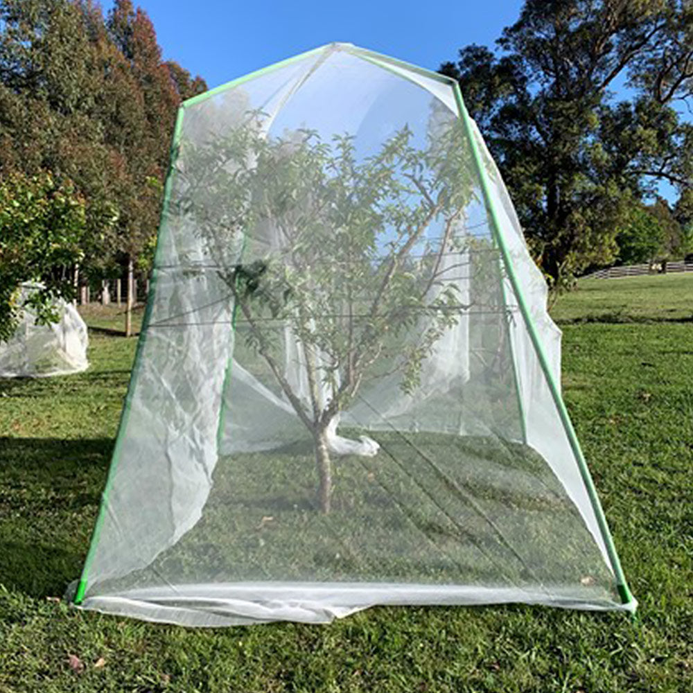 Tree Frame - 2 m Tall