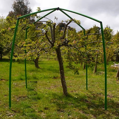Tree Frame - 2.5 m Tall