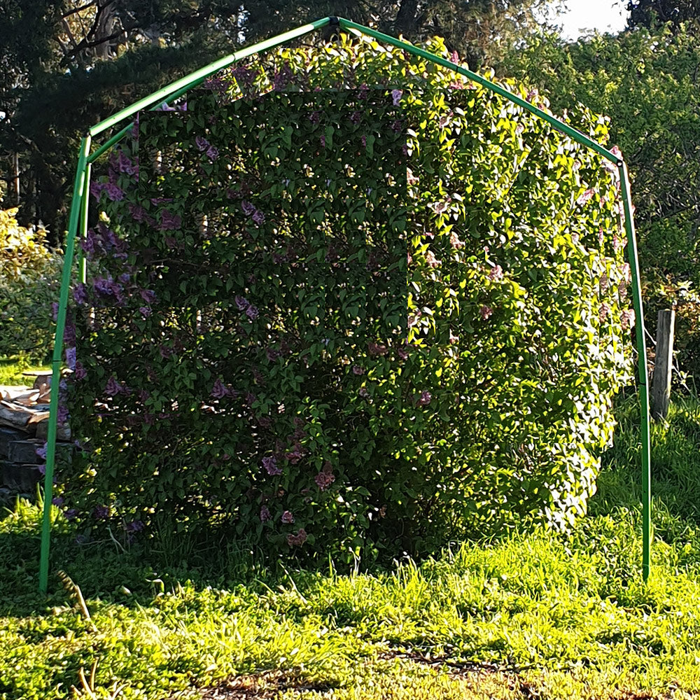 Tree Frame for Formed Insect Exclusion Net - 2.4m sq x 2.8m